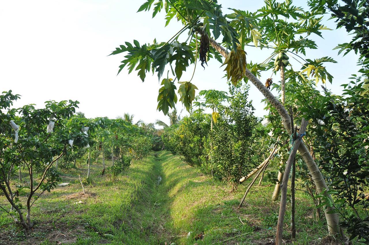 Orchard Fruit Farm Bungalow Phu Quoc Luaran gambar