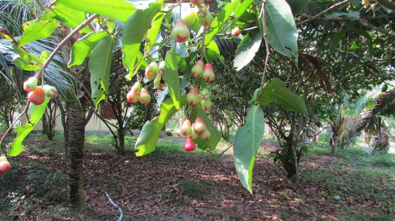 Orchard Fruit Farm Bungalow Phu Quoc Luaran gambar