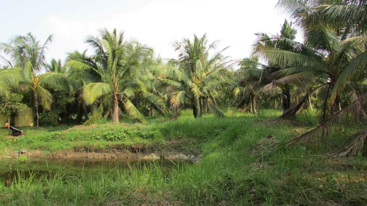 Orchard Fruit Farm Bungalow Phu Quoc Luaran gambar