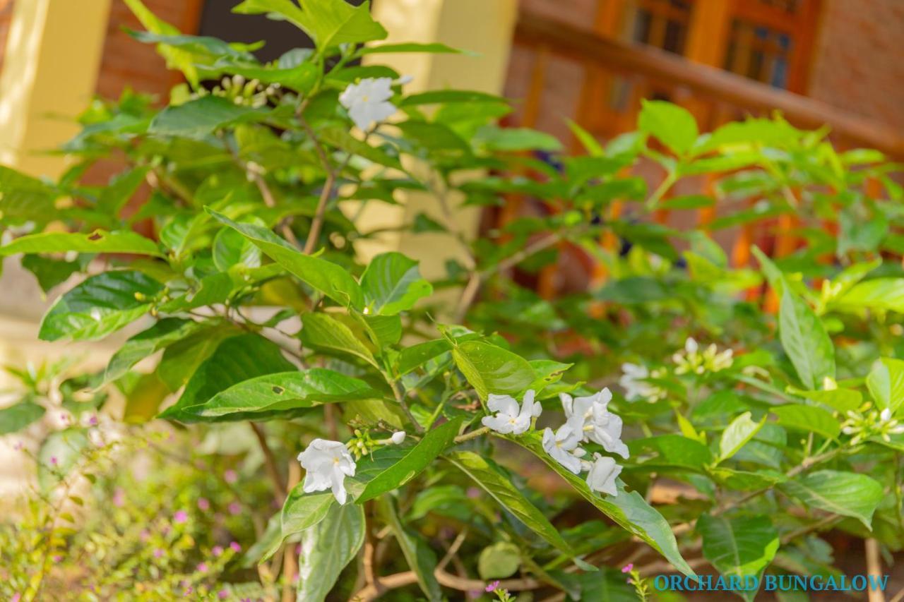 Orchard Fruit Farm Bungalow Phu Quoc Luaran gambar