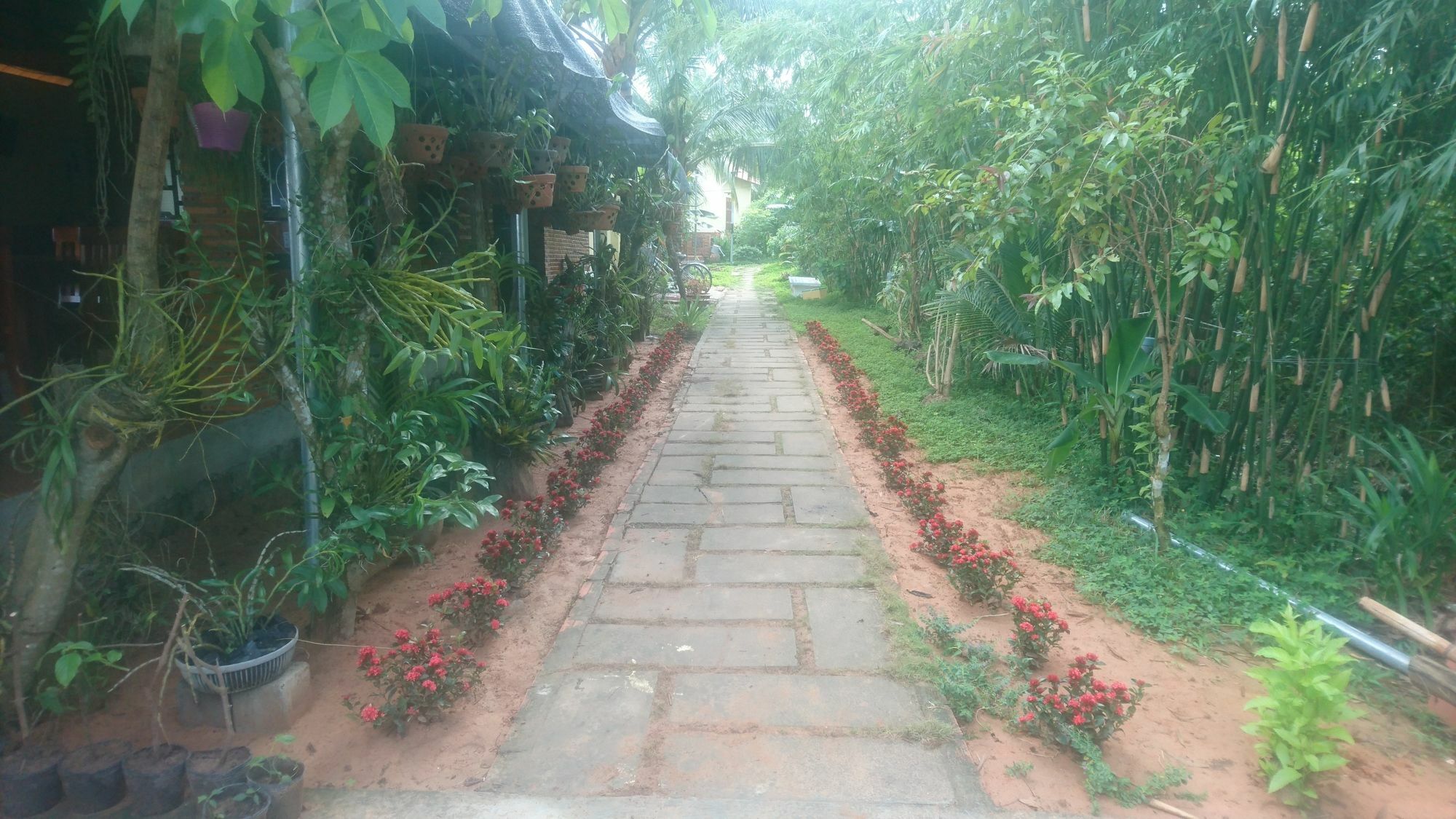 Orchard Fruit Farm Bungalow Phu Quoc Luaran gambar